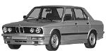 BMW E28 P1884 Fault Code
